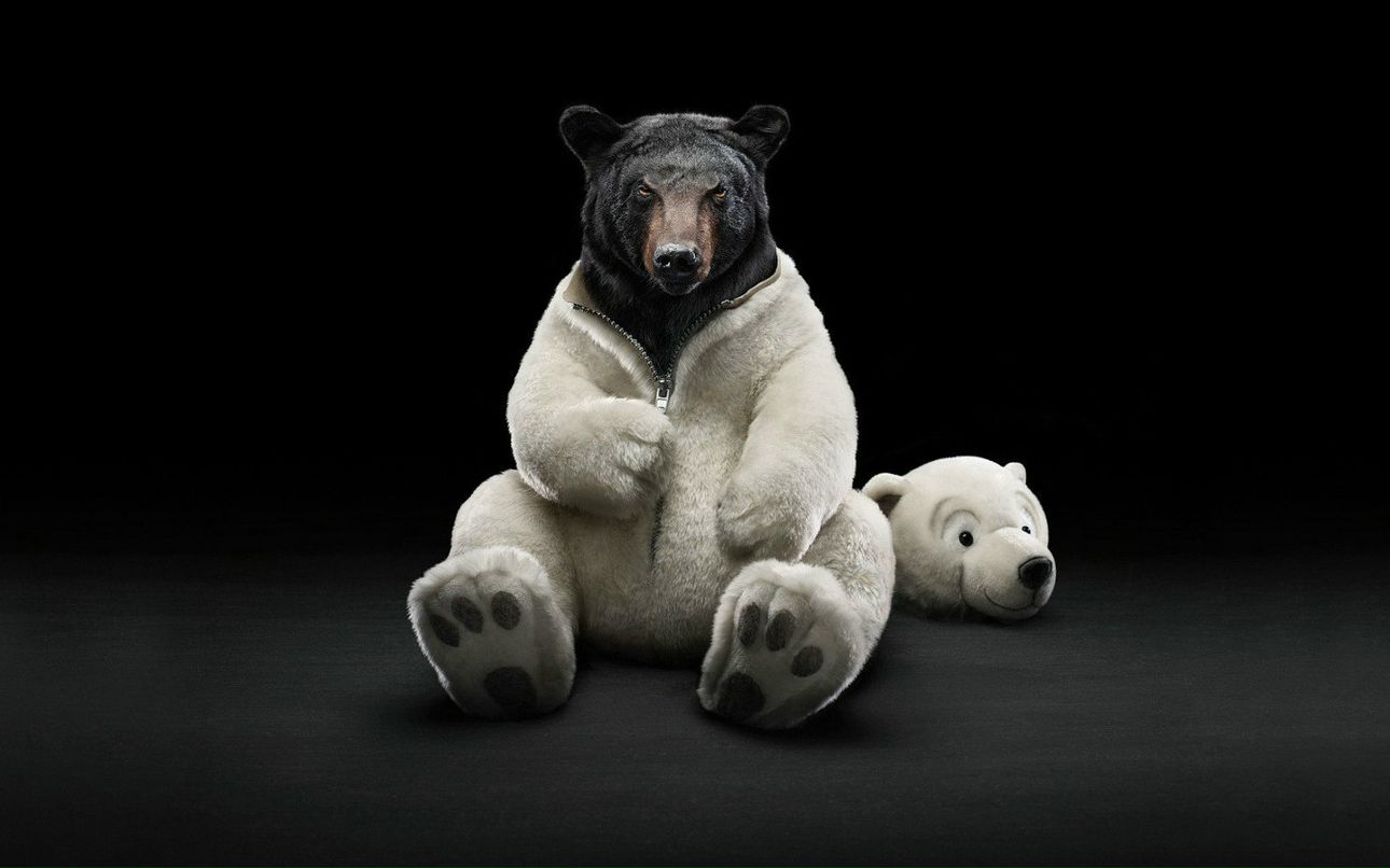 Сергей Снигур | Napoli