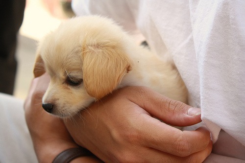 №38, Anna Reingold, Bremen №38, Anna Reingold, Bremen