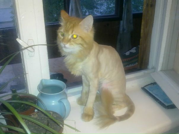 №1, Руслана Статюха, Киев №1, Руслана Статюха, Киев