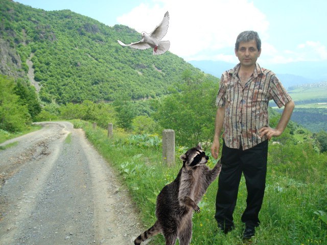 Бако грачья. Татоян Татос. Татоян Татос Челябинск. Володя Татоян Фрязино