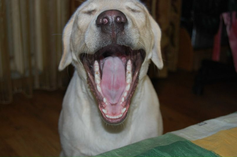 Сергей Котенко | Одесса