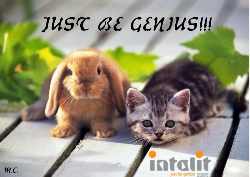 Виктория Курило | Николаев