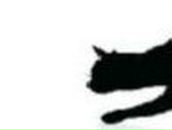 Анна Чернова | Рыбинск