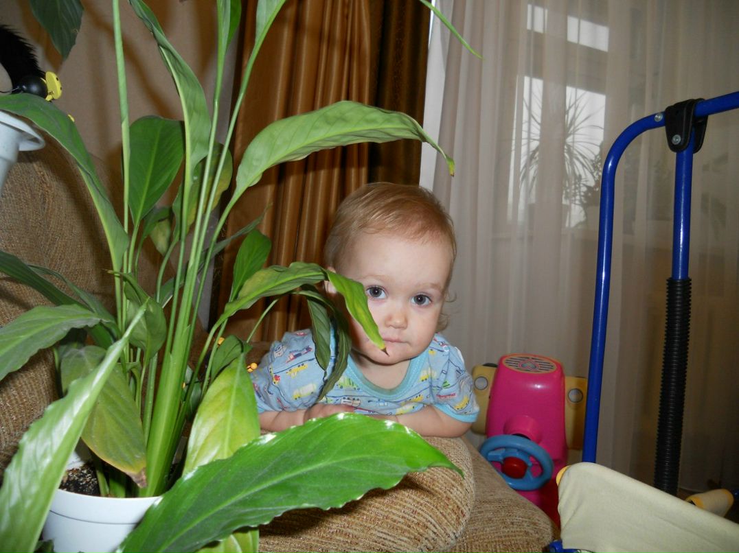 Олеся Шеботнева | Казань