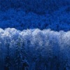 Аватар: Стеша Ларина