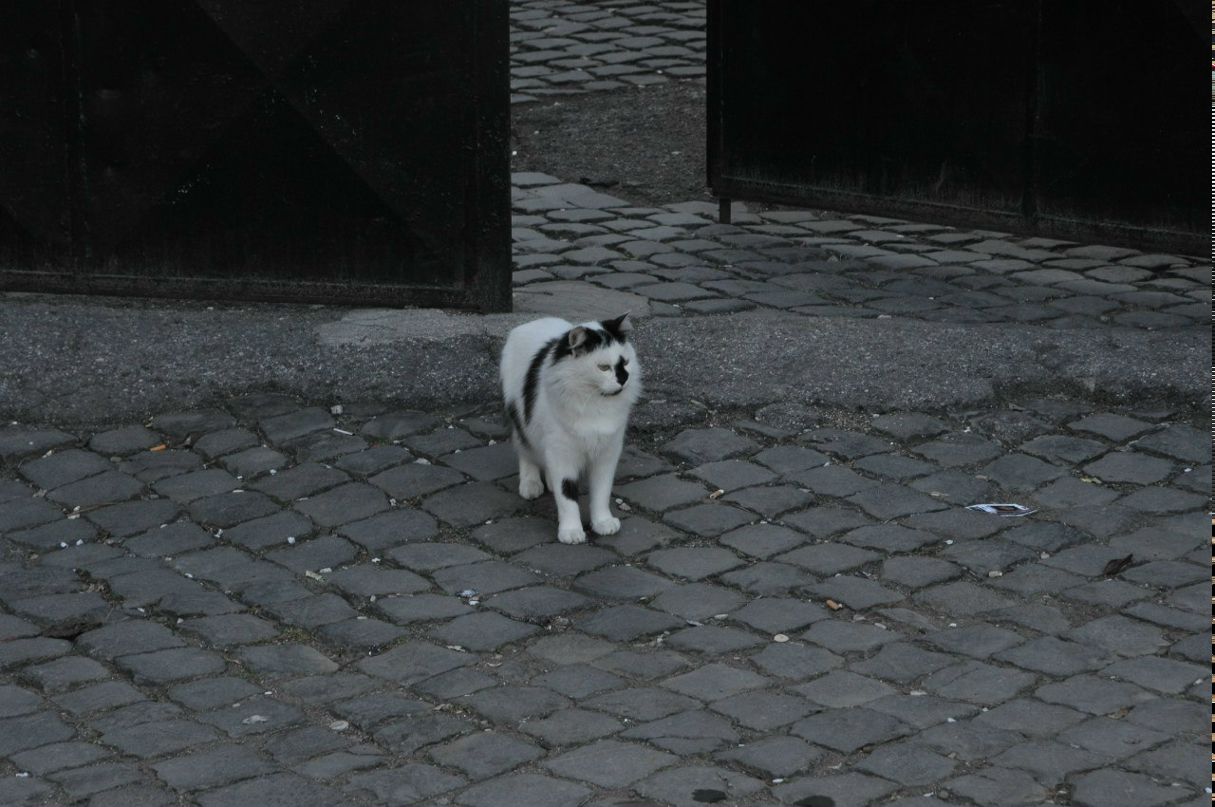 Андрей Качурин | Москва