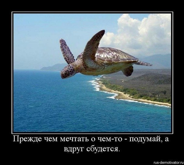 Анна Матвеева-Завьялова | Auckland