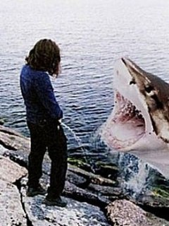 Саня Кольцов sasha | Санкт-Петербург