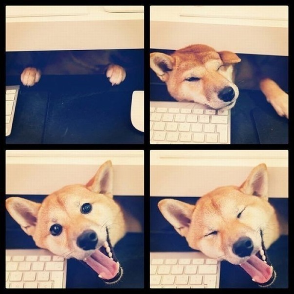 №18, Natalia Nikitina, Praha №18, Natalia Nikitina, Praha