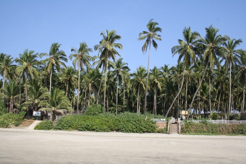 Kimmo Lopert | London