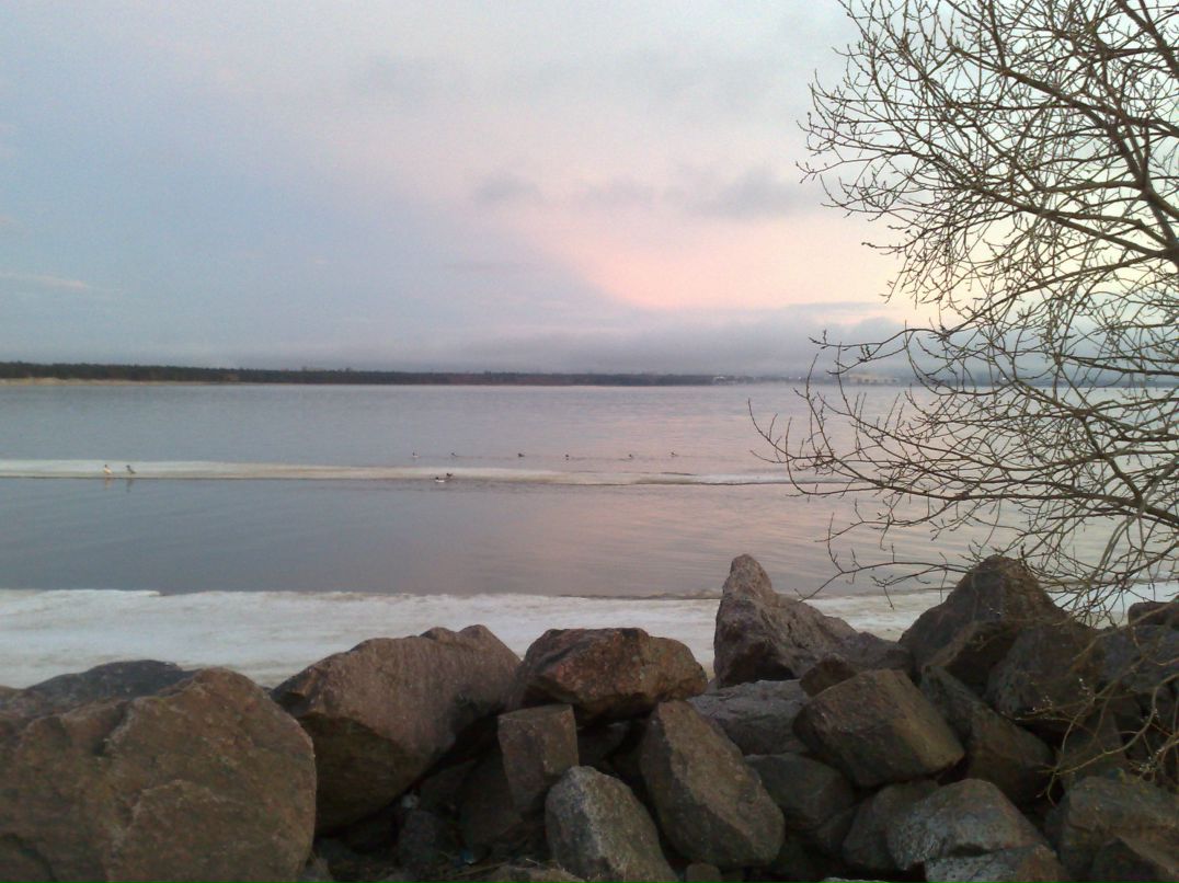 Екатерина Селянина | Сосновый Бор 