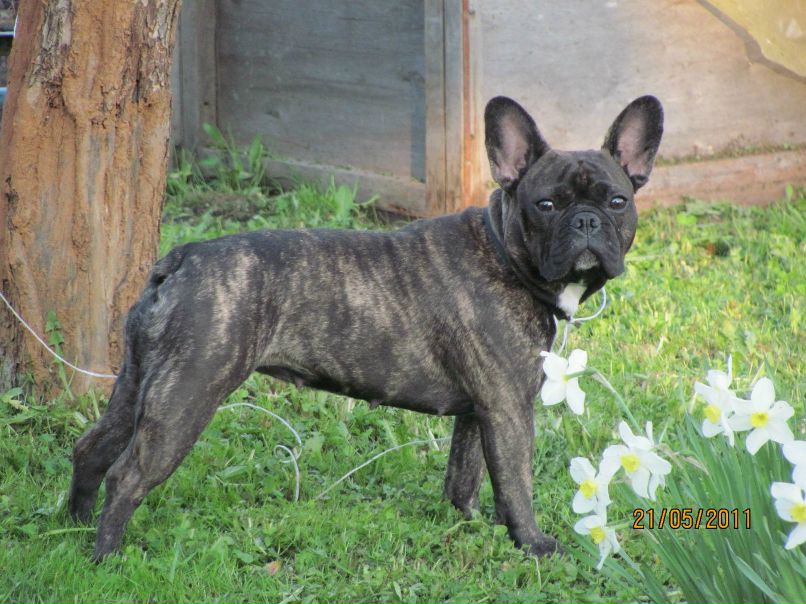 Наталья Долотова | Рыбинск