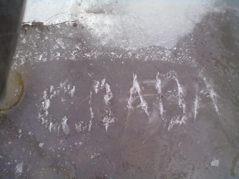 Slava Roman | Виноградов