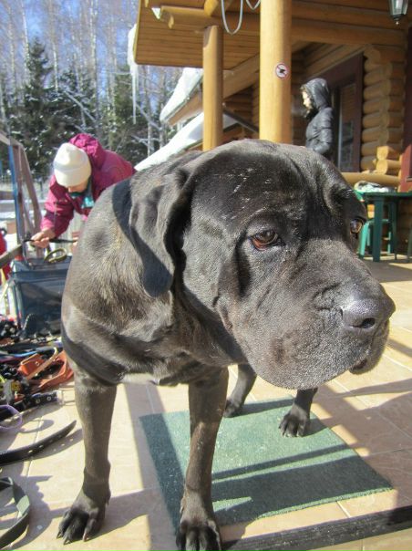 №13, Наталья Клёклина, 40 лет, Москва №13, Наталья Клёклина, 40 лет, Москва