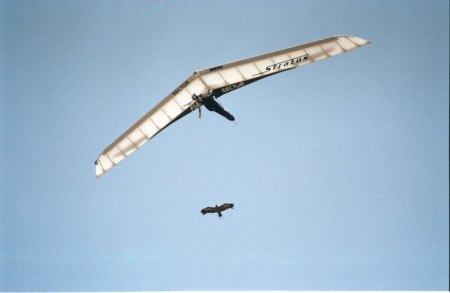 Юлия Рюмина | Нижний Новгород