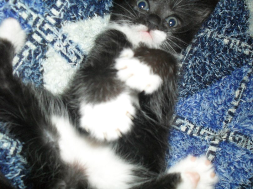 Оксана Булыга | Днепр (Днепропетровск)