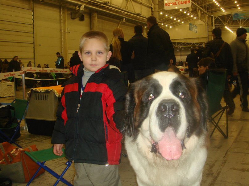 Анна Хмелевская | Киев