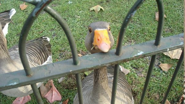 №4, Дмитрий Киселёв, Днепр (Днепропетровск) №4, Дмитрий Киселёв, Днепр (Днепропетровск)