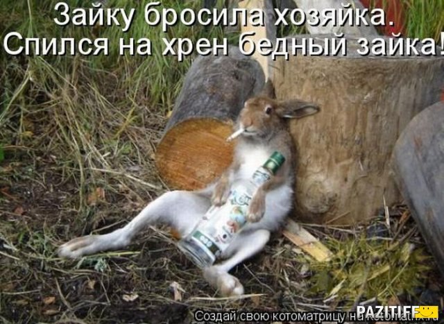 Людмила Игнатьева | 