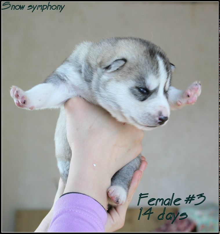 Юлия Гурьева | Уфа