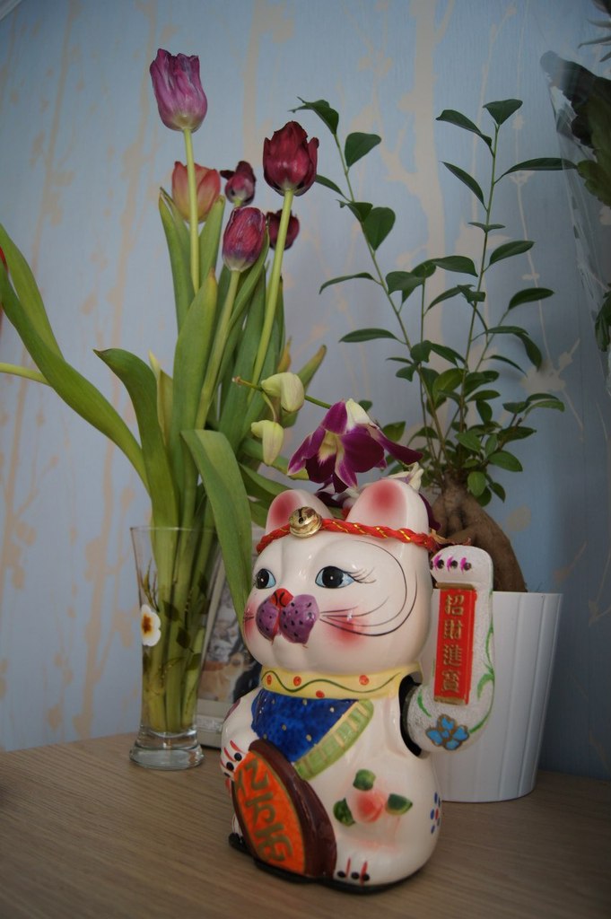 Olga Designer ★ | 