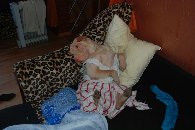 Йигит Гюнал | Киев