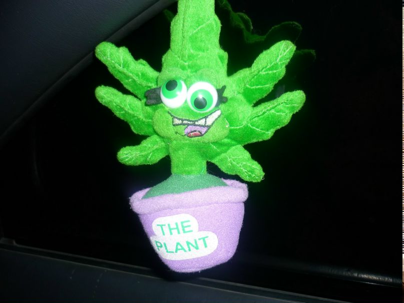 Сергей Юров | Красноярск