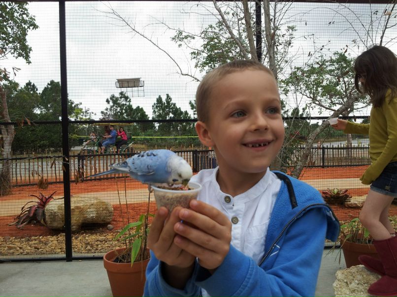 Екатерина Дзунович | Miami