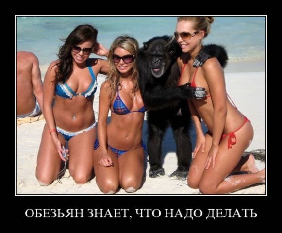 Виталий Елесин | Севастополь