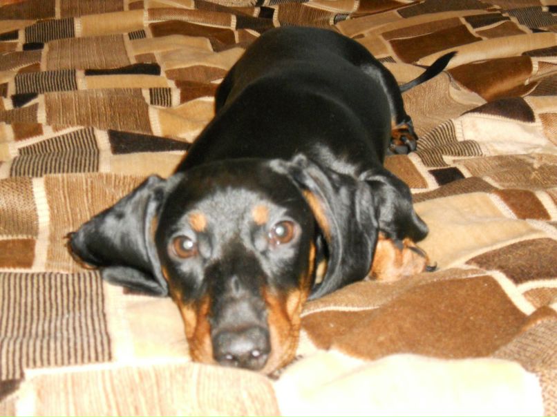 Екатерина Думчева | Ярославль