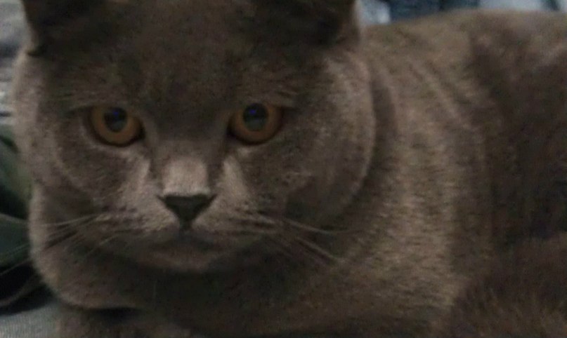 Инна Александровна | Львов