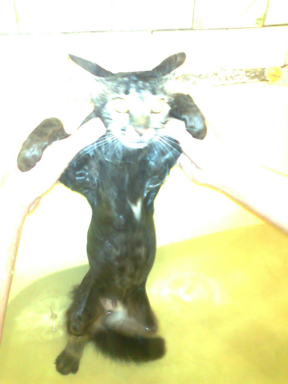 Алёна Балабонина Валерьевна | 