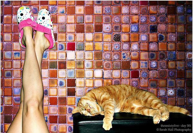 Reesewitherspoon Marina-Jasmine | Киев