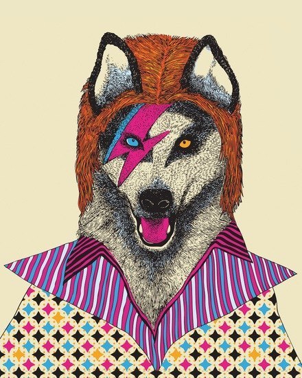 Полина Сизова | Петрозаводск