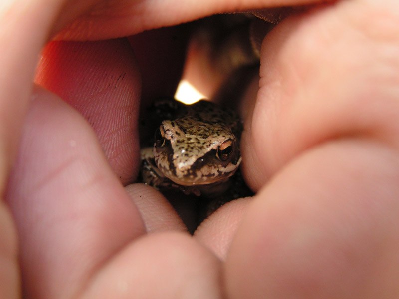 Юлия Нитиевская Ya-Yuliya | Москва