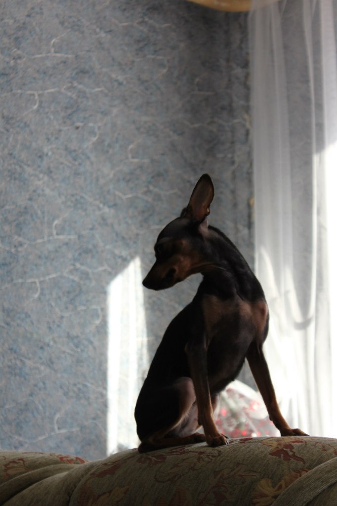 Мария Бессонова | Краснотурьинск