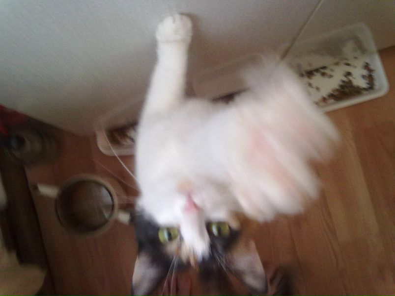 №169, Марина Чернышова, 36 лет, Тверь №169, Марина Чернышова, 36 лет, Тверь