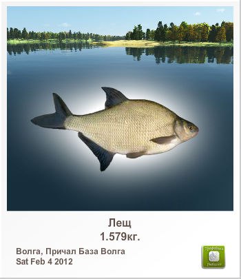 Александр Марченко | Витебск