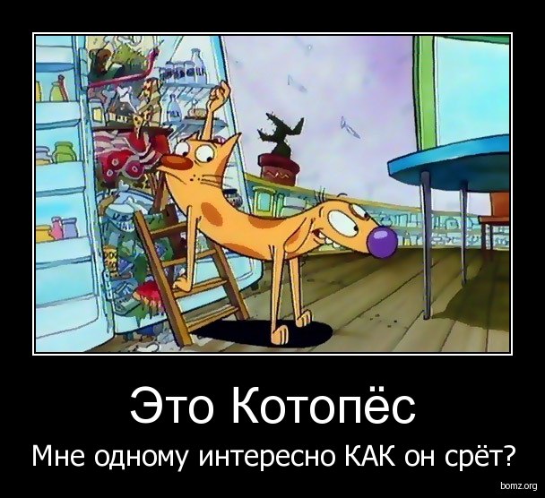 Анна Манохина | 