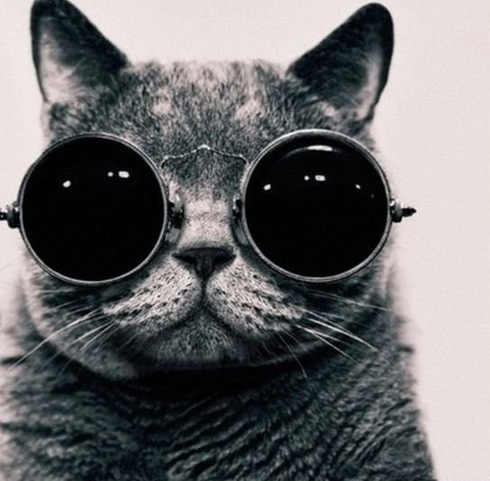 Александр Ведяшкин | Нижний Новгород