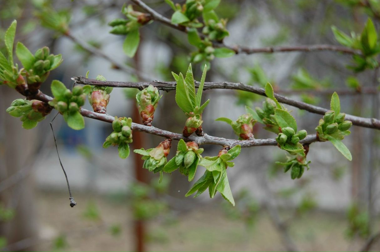 Николай Герасименко gera | Симферополь