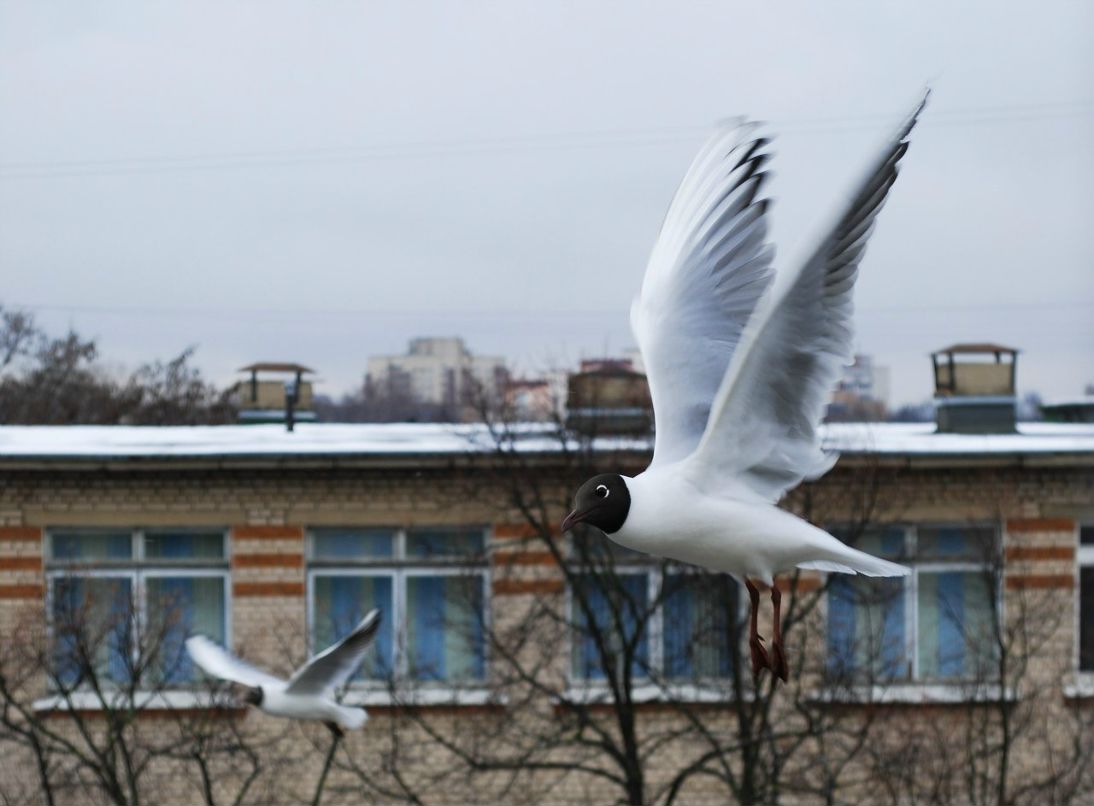 Андрей Кравт | Минск