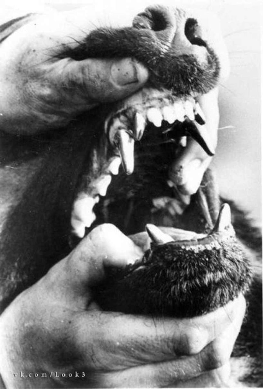 Кирилл Ефремов | Санкт-Петербург