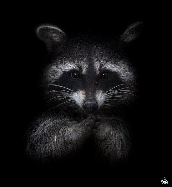 Борис Коженкин Олегович | Москва