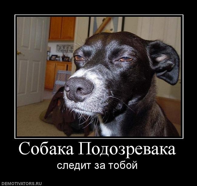 Александр Дороднов | Николаев