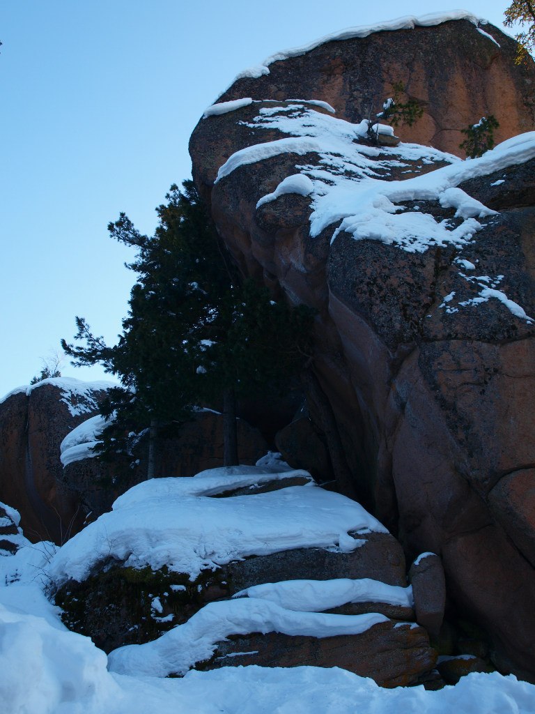 Дарья Данилина | 