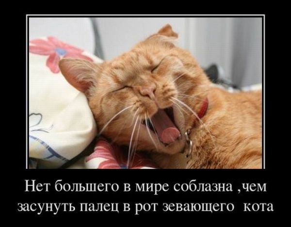 Persona Suspecta | Москва