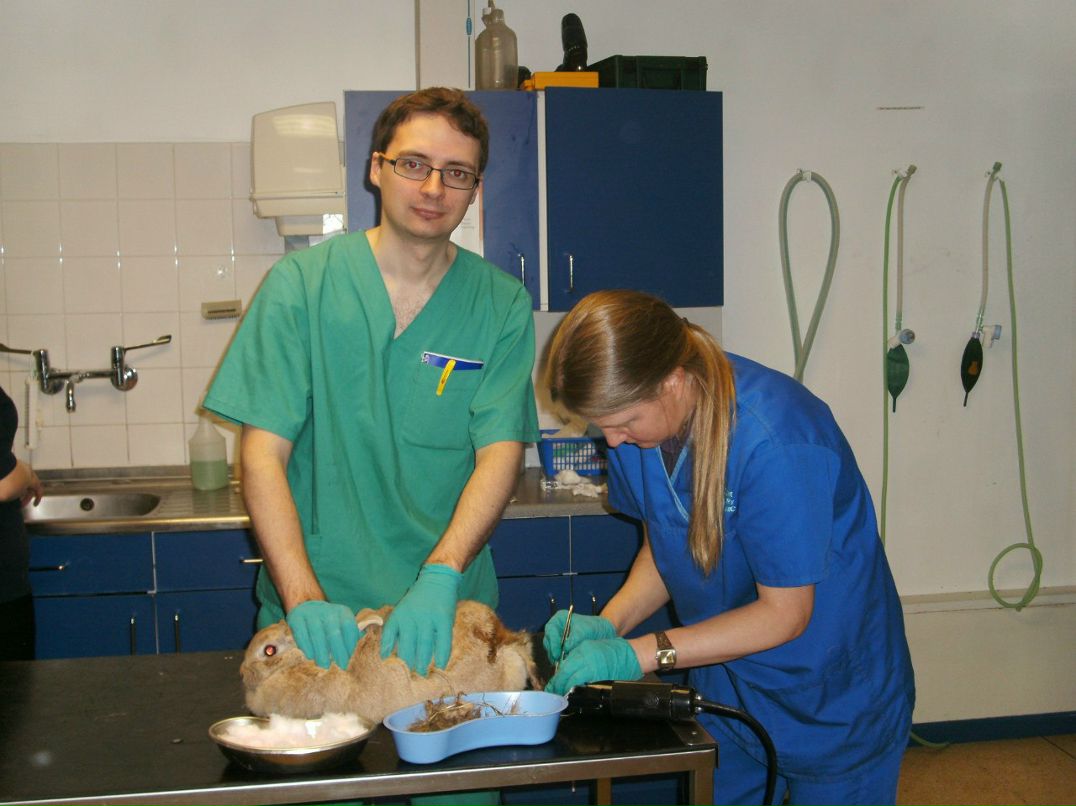 Эдгар Осьминин Amadeus | Каунас