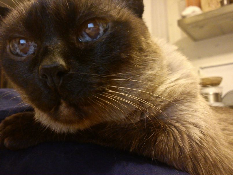 Фима Wireless | Санкт-Петербург