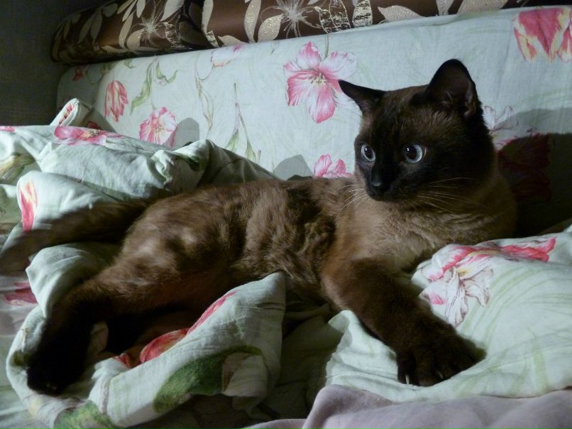 Мария Митрофанова | 